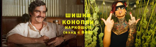 сатива Горно-Алтайск