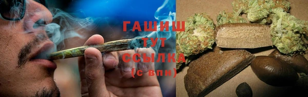 твердый Горняк