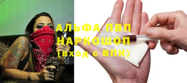 твердый Горняк