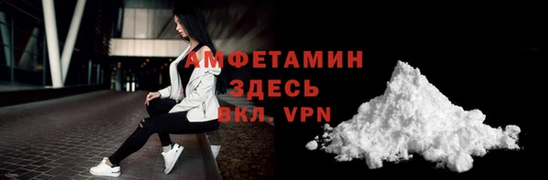 твердый Горняк