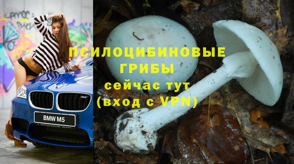 Альфа ПВП Горнозаводск