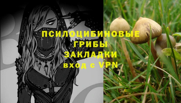 твердый Горняк