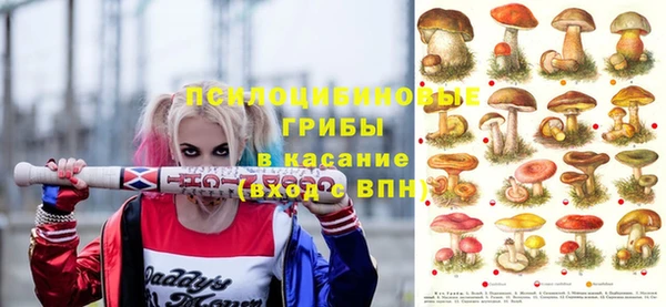 твердый Горняк