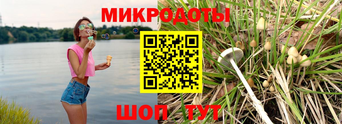 Псилоцибиновые грибы Psilocybine cubensis Георгиевск