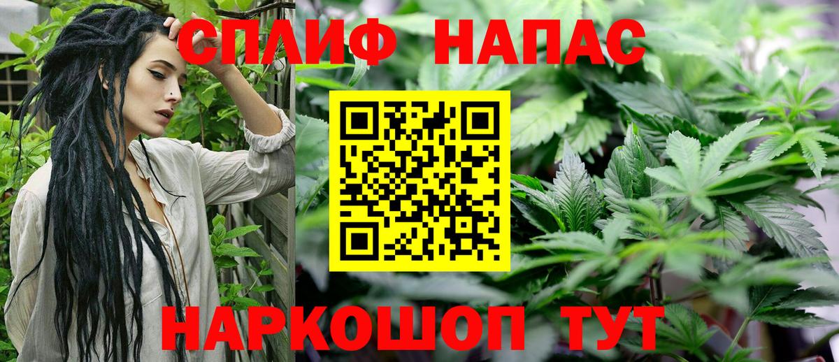 Бошки Шишки MAZAR Георгиевск